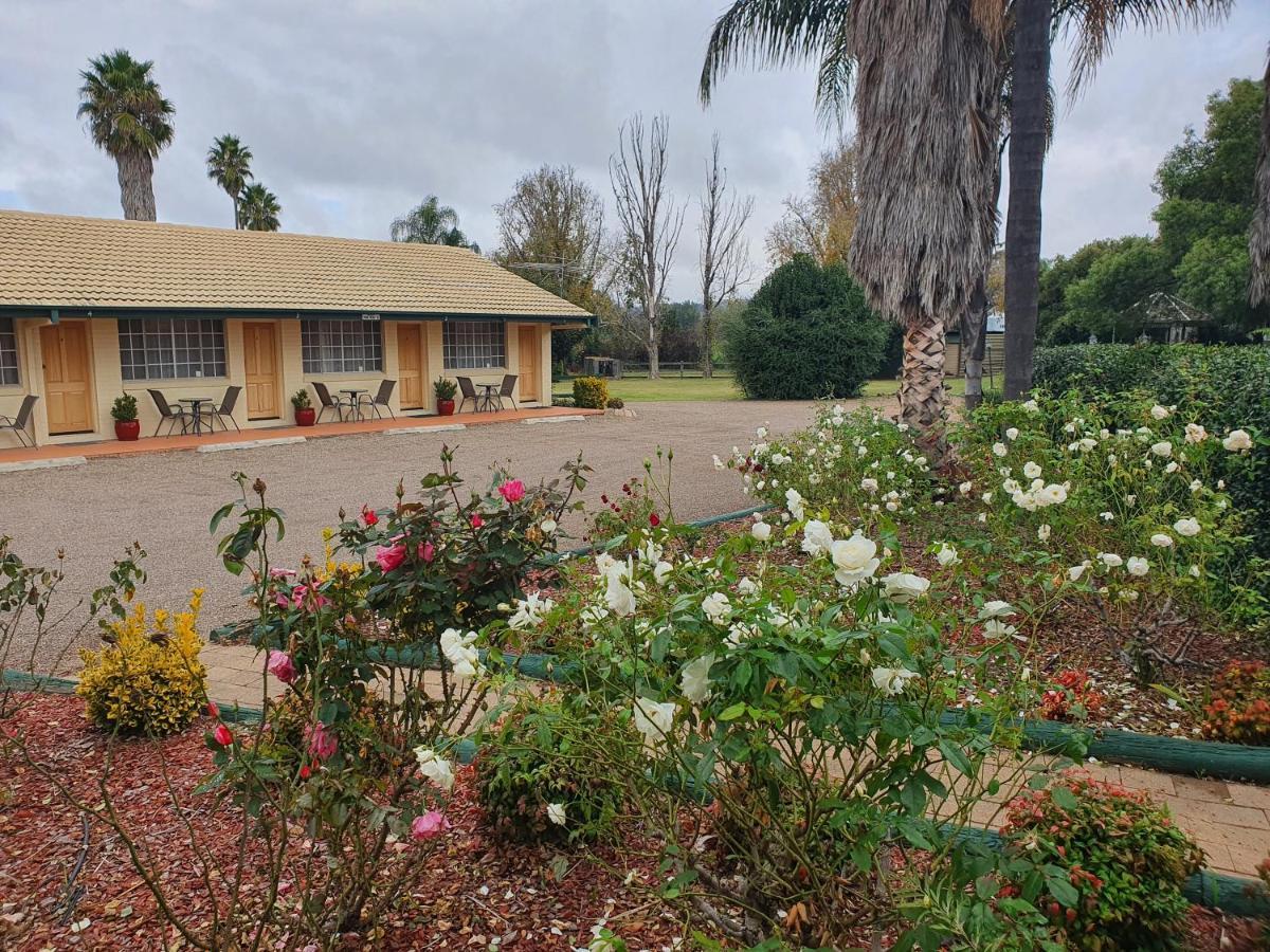 The Aston Motel Tamworth Exteriér fotografie
